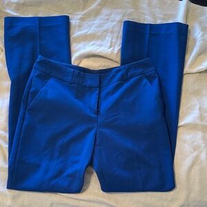 New York & Company Vibrant Blue Trousers